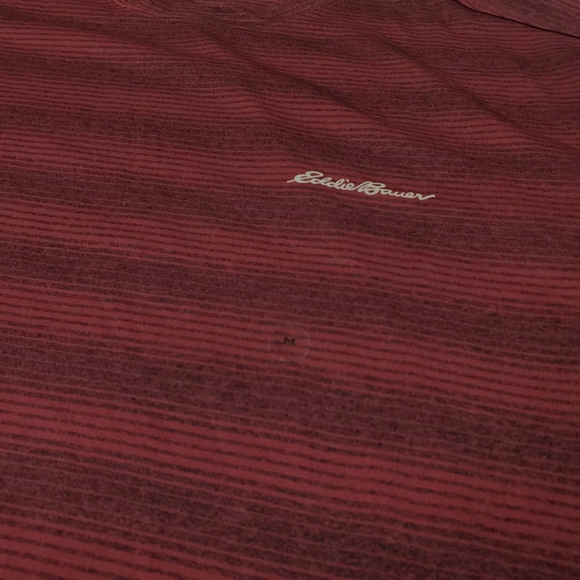 Eddie Bauer T Shirt Mens Medium FreeDry Polyester Striped Hiking Active Wicking - Picture 6 of 8